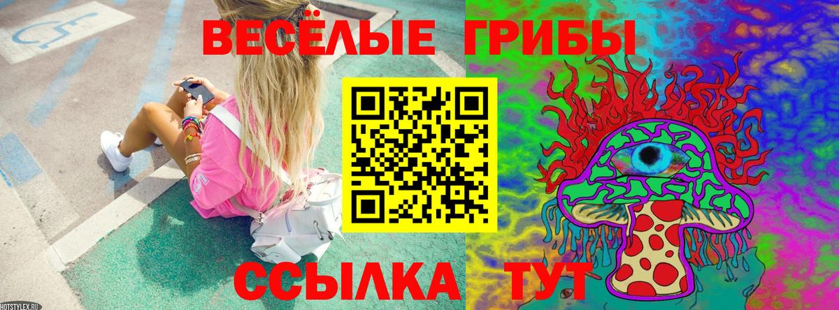 Псилоцибиновые грибы GOLDEN TEACHER  где купить   Серпухов  Вход с VPN 