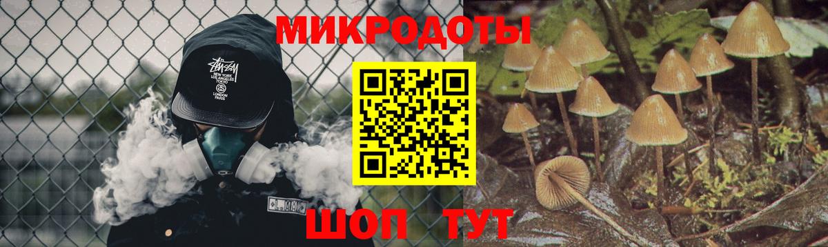 Галлюциногенные грибы Cubensis Серпухов